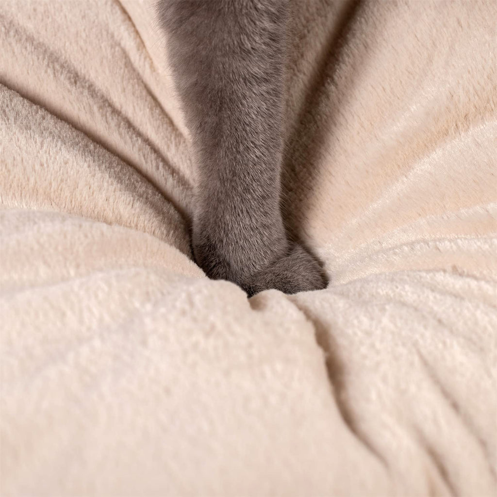 Cozy Indoor Pet Tent Bed with Removable Cushion